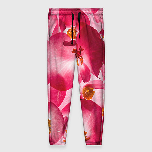 Женские брюки Цветы бегония текстура / 3D-принт – фото 1