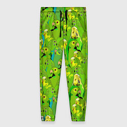 Женские брюки Зеленые волнистые попугайчики