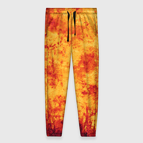 Женские брюки Осенний пожар / 3D-принт – фото 1
