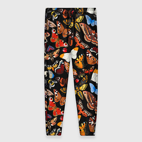Женские брюки Разноцветные тропические бабочки / 3D-принт – фото 1