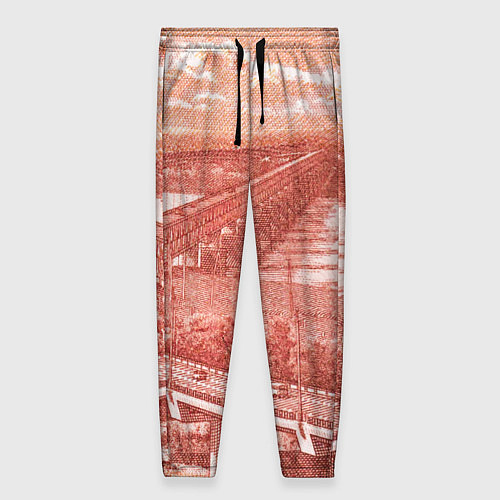 Женские брюки Любимый Хабаровск 5000 / 3D-принт – фото 1