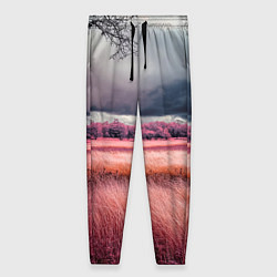 Брюки женские Поле и деревья пейзаж - инфракрасный стиль, цвет: 3D-принт