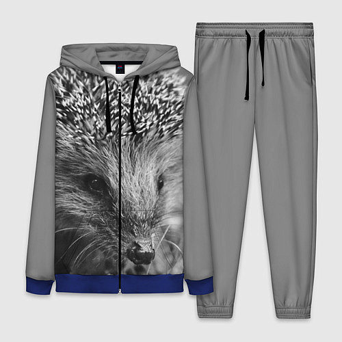 Женский костюм Взгляд ёжика / 3D-Синий – фото 1