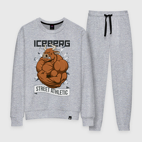 Женский костюм Iceberg: Street Athletic / Меланж – фото 1