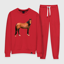 Костюм хлопковый женский Теплокровная лошадка, цвет: красный