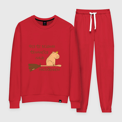 Женский костюм Мем капибара на метле: фея и ведьма / Красный – фото 1