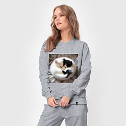 Костюм хлопковый женский Два любящих котика обнимаются клубочком, цвет: меланж — фото 2