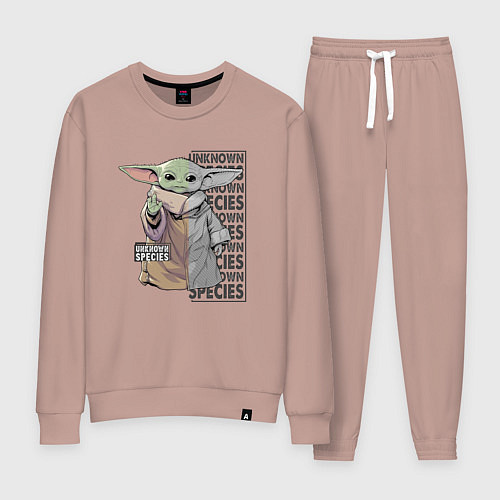 Женский костюм Unknown specis - Baby Yoda / Пыльно-розовый – фото 1