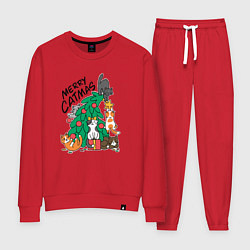 Женский костюм Merry catmas