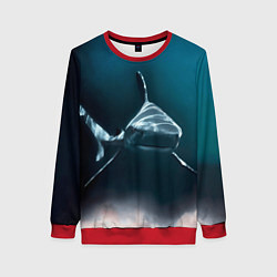 Женский свитшот Акула