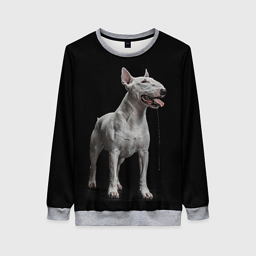 Женский свитшот Bully / 3D-Меланж – фото 1