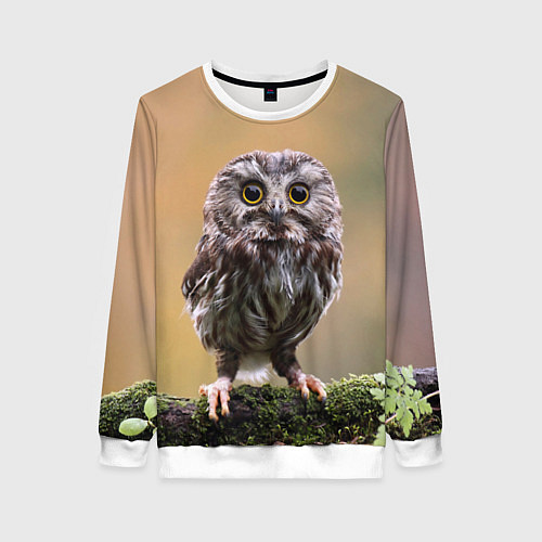 Женский свитшот СОВЕНОК / 3D-Белый – фото 1