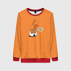 Женский свитшот Хьюстон, у нас проблемы!