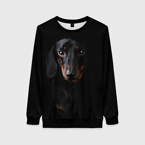 Женский свитшот ТАКСА / 3D-Черный – фото 1