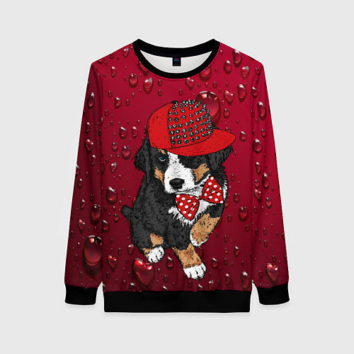 Женский свитшот Cool Dog / 3D-Черный – фото 1