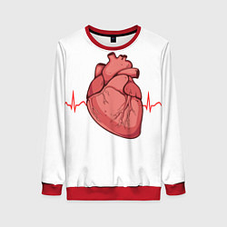 Женский свитшот Анатомия сердца