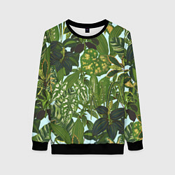 Свитшот женский Зеленые Тропические Растения, цвет: 3D-черный