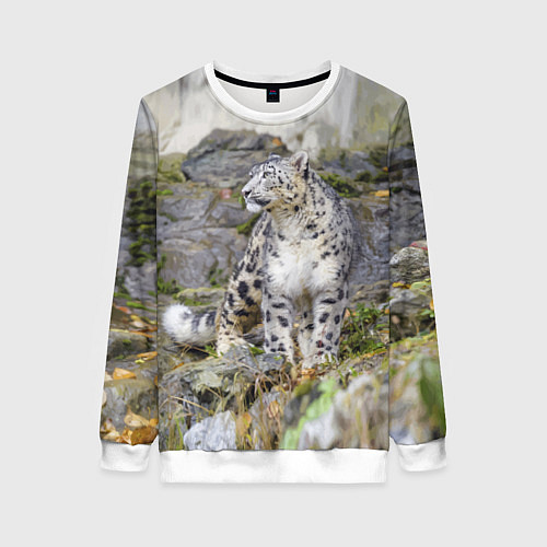 Женский свитшот Снежный барс среди скал / 3D-Белый – фото 1