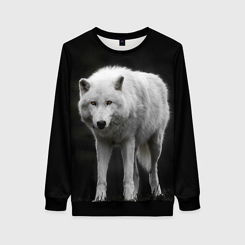 Женский свитшот Белый волк на темном фоне / 3D-Черный – фото 1