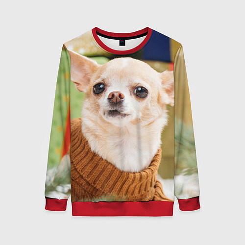 Женский свитшот Праздничный чихуахуа / 3D-Красный – фото 1
