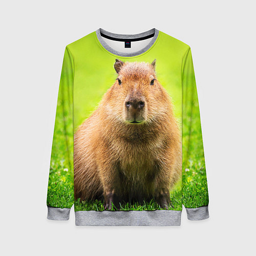 Женский свитшот Capybara on green grass / 3D-Меланж – фото 1