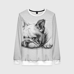 Женский свитшот Французский бульдог чб рисунок на стене