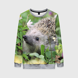 Свитшот женский Лесной ёжик в траве, цвет: 3D-меланж