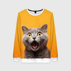 Женский свитшот Удивленный кот