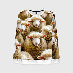 Женский свитшот Стадо овец