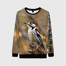 Свитшот женский Дятел в лесу, цвет: 3D-черный