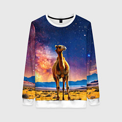 Женский свитшот Верблюд и звездное небо