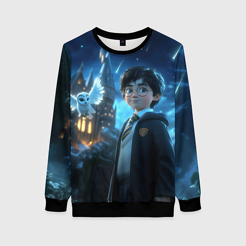Женский свитшот Гарри Поттер и сова / 3D-Черный – фото 1