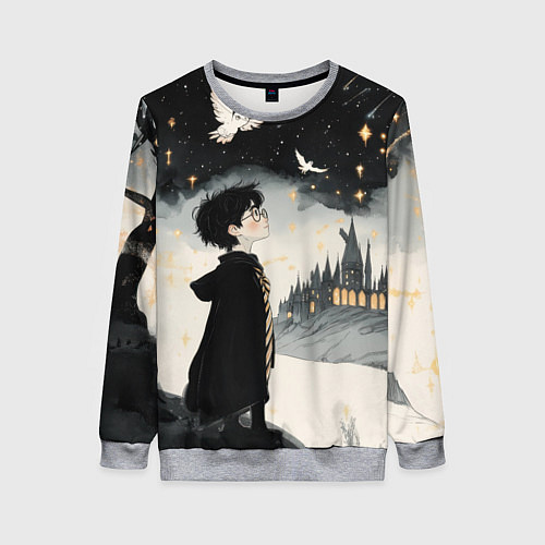 Женский свитшот Гарри Поттер и совы / 3D-Меланж – фото 1