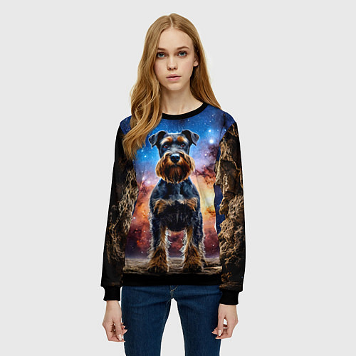 Женский свитшот Ризеншнауцер в космосе / 3D-Черный – фото 3