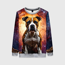 Свитшот женский Американский стаффордширский терьер в космосе, цвет: 3D-меланж