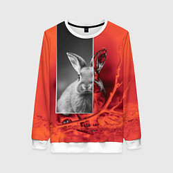 Женский свитшот Хмурый кролик
