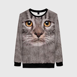Свитшот женский Котик, цвет: 3D-черный