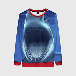 Женский свитшот Белая акула