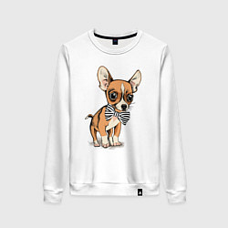 Женский свитшот Чихуахуа с бабочкой