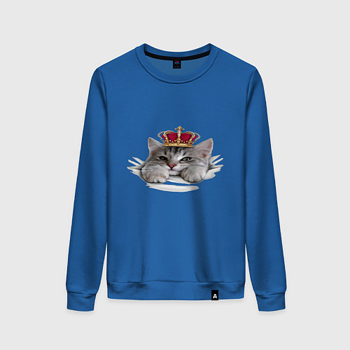 Женский свитшот Pretty kitten / Синий – фото 1