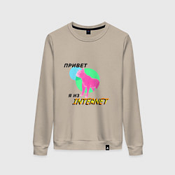 Свитшот хлопковый женский Привет я из internet, цвет: миндальный
