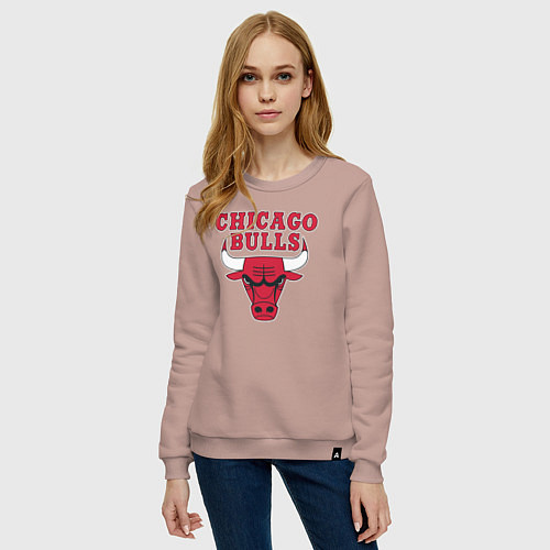 Женский свитшот CHICAGO BULLS / Пыльно-розовый – фото 3