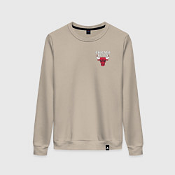 Женский свитшот CHICAGO BULLS