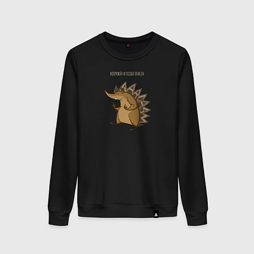 Женский свитшот Опасный / Черный – фото 1