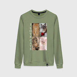 Женский свитшот I LOVE CATS Я ЛЮБЛЮ КОШЕК