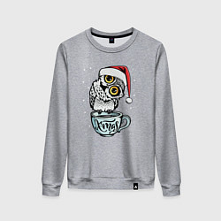Женский свитшот X-mas Owl