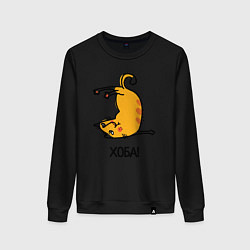 Женский свитшот Хоба! Прикольный кот