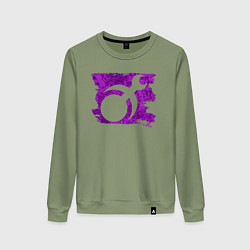 Женский свитшот Знак Слаанеш пятно