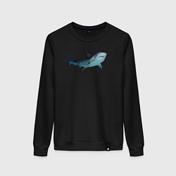 Свитшот хлопковый женский Realistic shark, цвет: черный