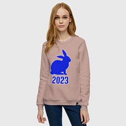 Свитшот хлопковый женский 2023 силуэт кролика синий, цвет: пыльно-розовый — фото 2
